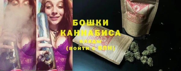 ешки Бородино