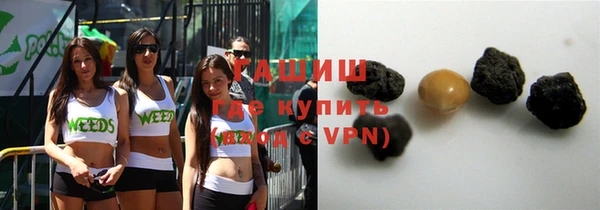 ешки Бородино