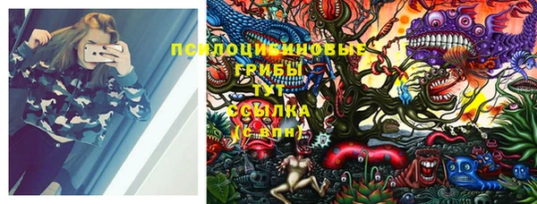 марки lsd Бугульма
