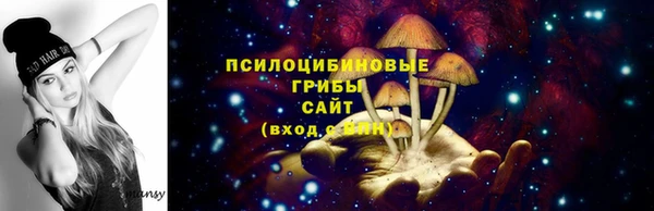марки lsd Бугульма