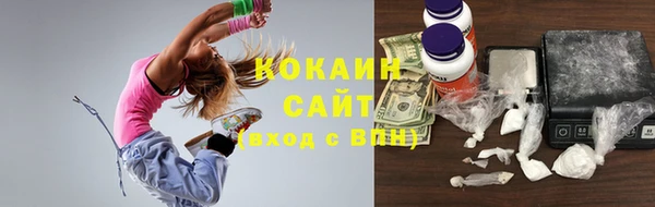 ешки Бородино