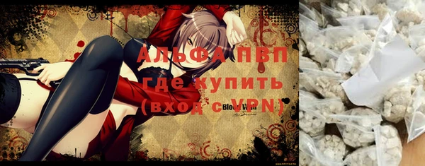 ешки Бородино