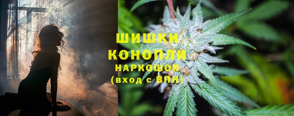 ешки Бородино