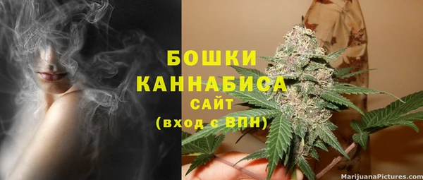 ешки Бородино